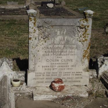 BOTHA Ignatius 1885-1937 :: BOTHA Colin Clive 1935-1935