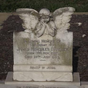 BRADLEY James Hercules 1925-1927
