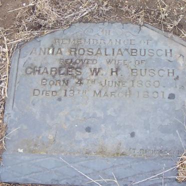 BUSCH Anna Rosalia 1860-1891