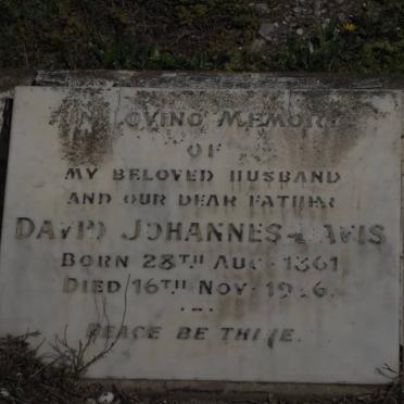 DAVIS David Johannes 1861-1936