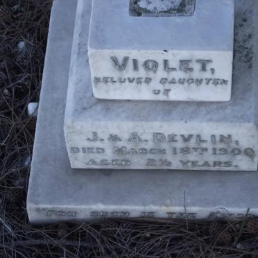 DEVLIN Violet -1900
