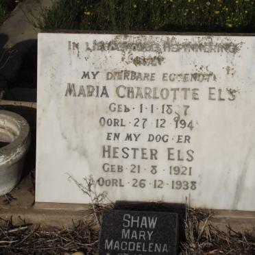 ELS :: SHAW
