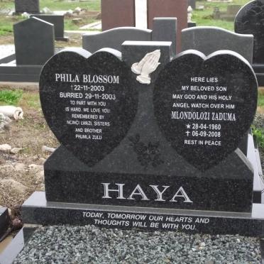 HAYA Phila Blossom -2003 :: HAYA Mlondolozi Zaduma 1960-2008