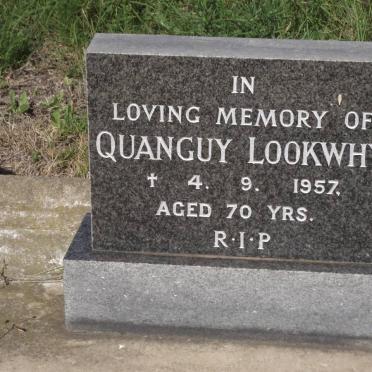LOOKWHY Quanguy -1957