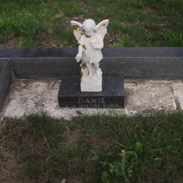 MERWE Dawie, van der 1937-1938