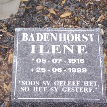MERWE, van der :: BADENHORST