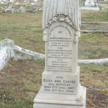 MITCHLEY :: CARVER