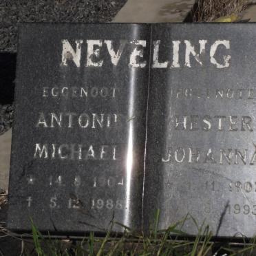 Ne - Surnames starting with the letters Ne