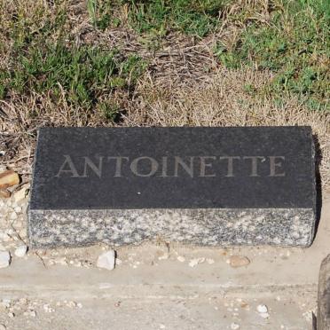 ? Antoinette