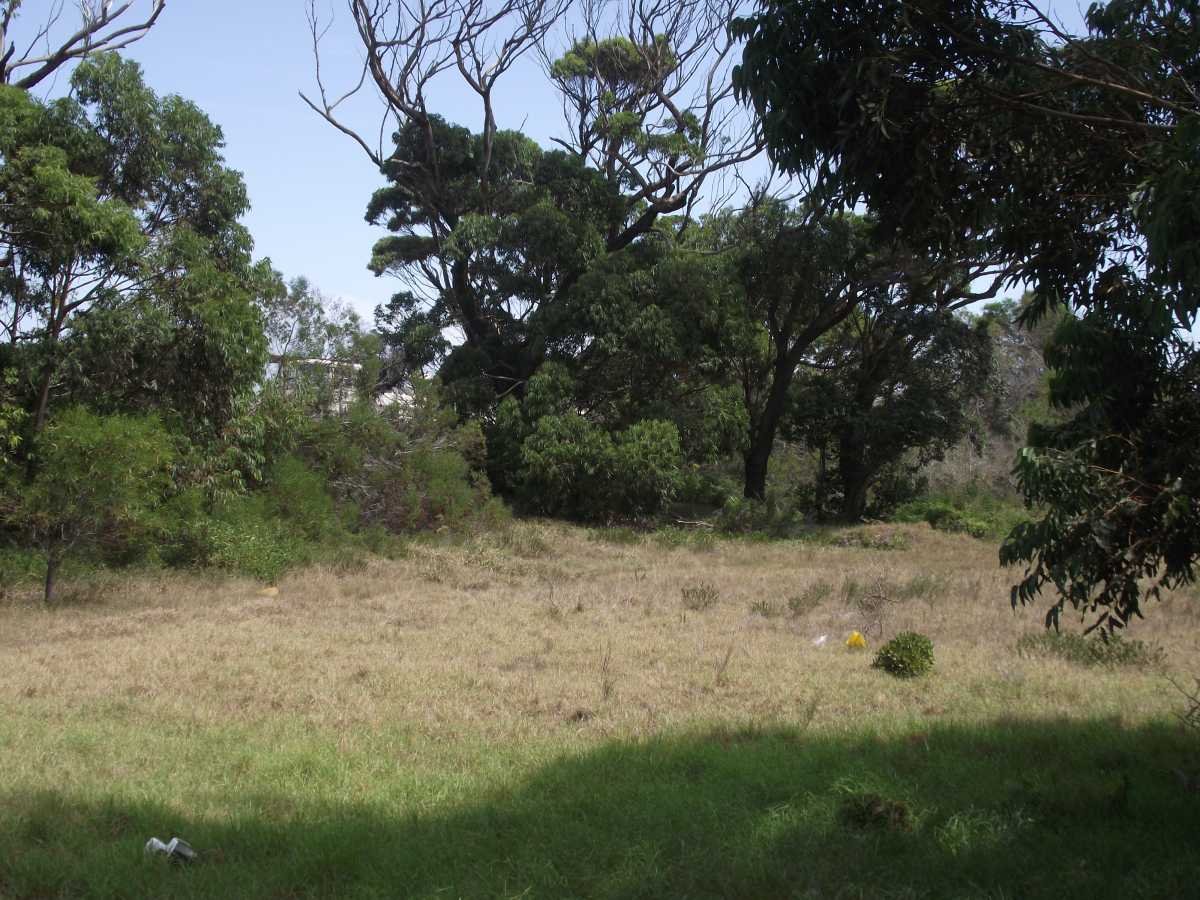 3. Overview