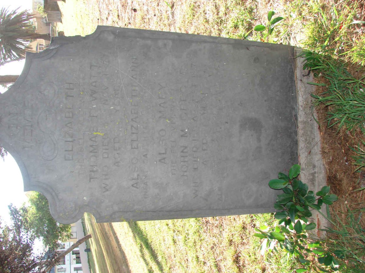 WATT Elizabeth  -1877 :: WATT Elizabeth Ann ?- ? :: ?  Mary -187?