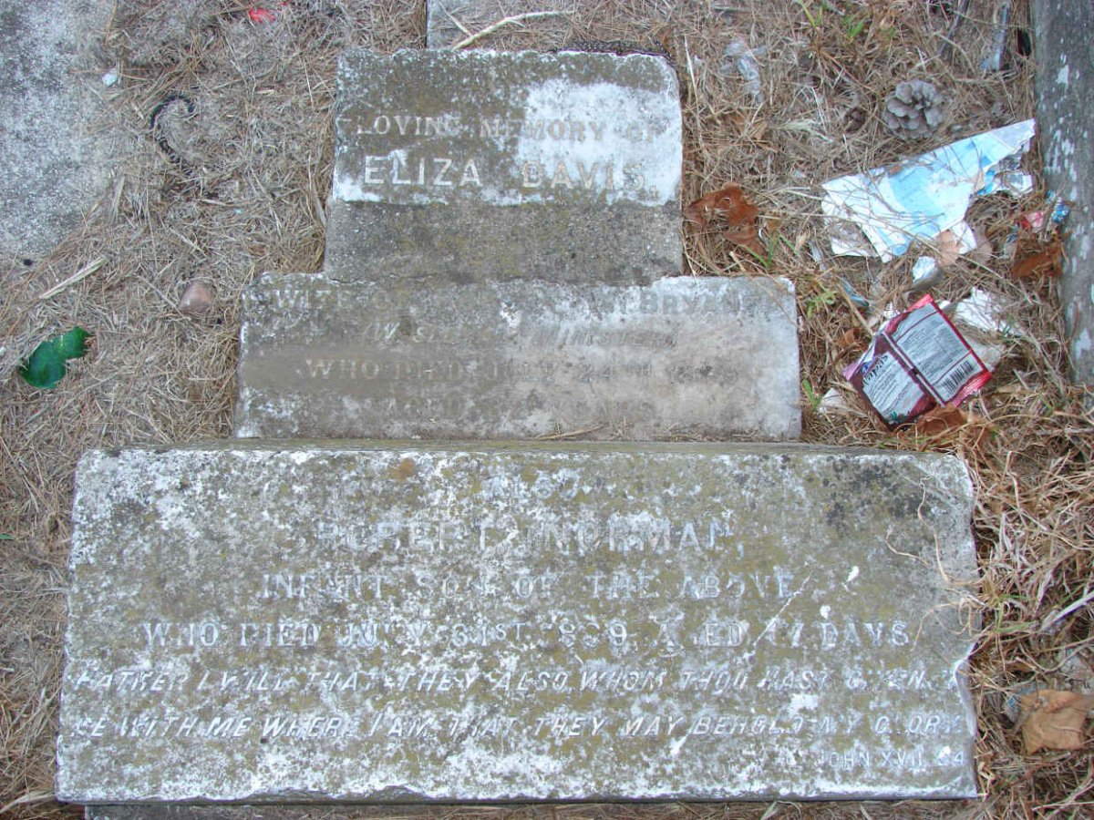 BRYANT Eliza Davis -18?9 :: BRYANT Robert Norman -1889