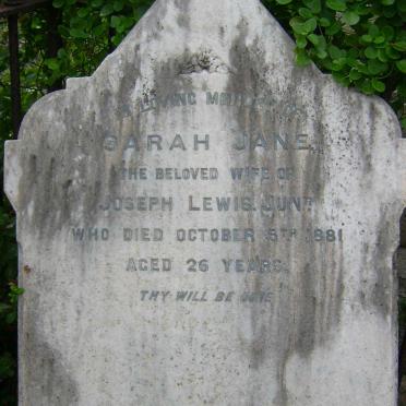 LEWIS Sarah Jane -1881
