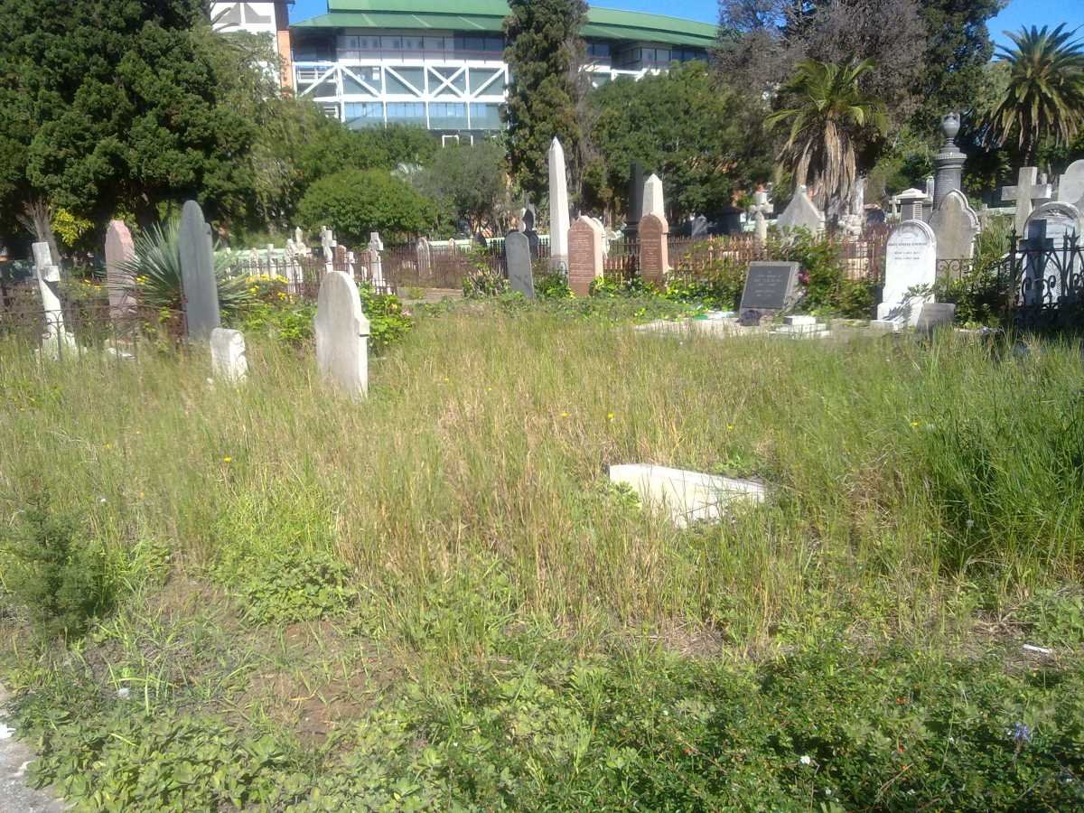 3. Overview