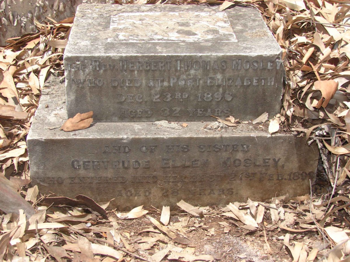 MOSLEY Herbert Thomas -1896 :: MOSLEY Gertrude Ellen -189?