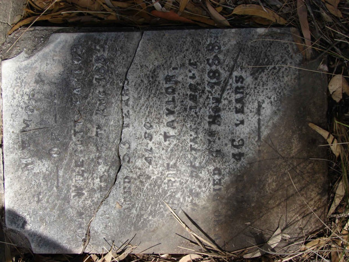 TAYLOR John Wilecott -1885 :: TAYLOR Marie -1858