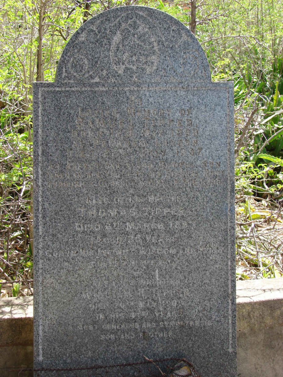 TERPER Samuel -1868 :: TERPER Thomas-1887