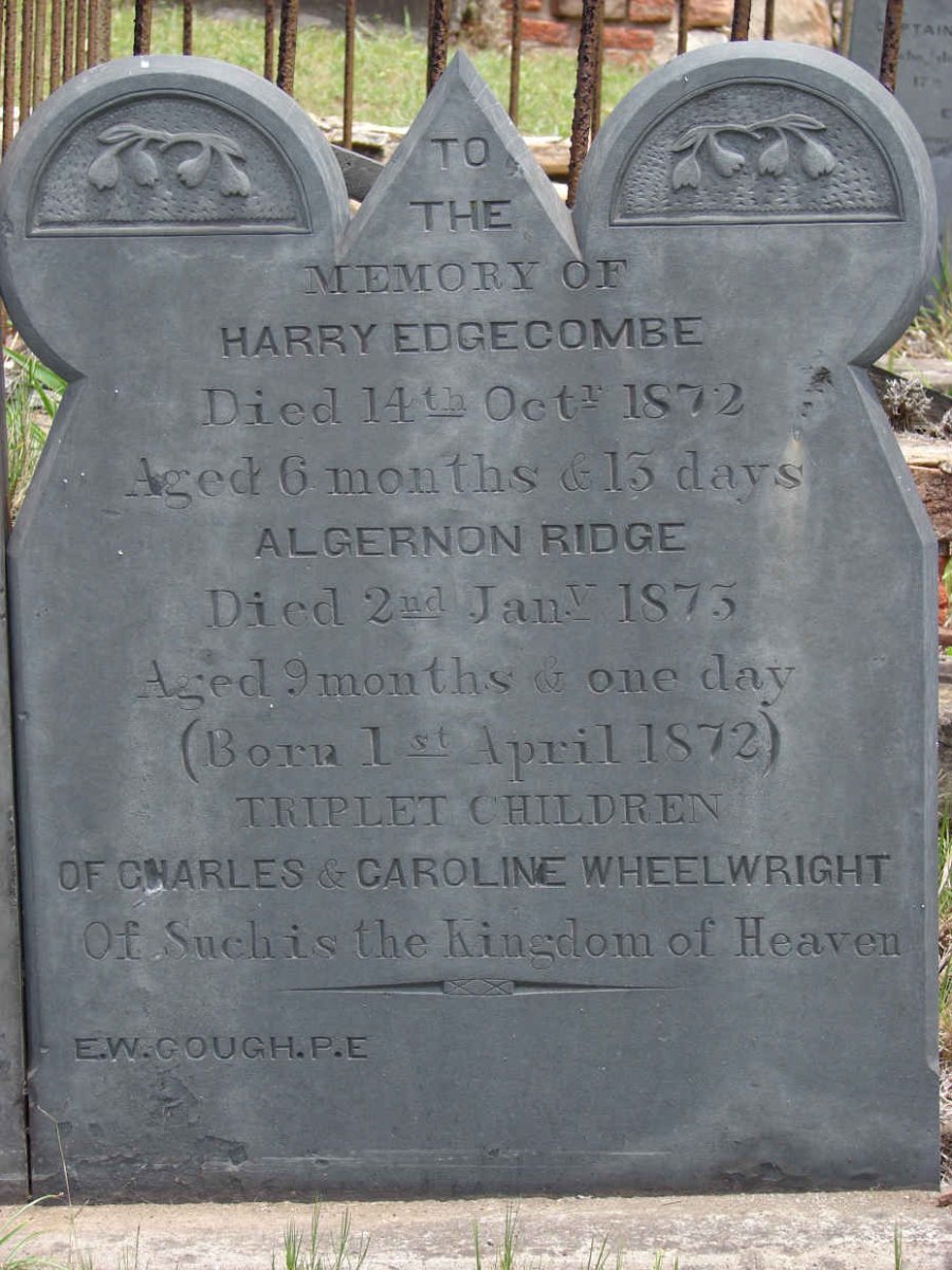 WHEELWRIGHT  Harry Edgecombe 1872-1872 :: WHEELWRIGHT Algernon Ridge 1872-1873