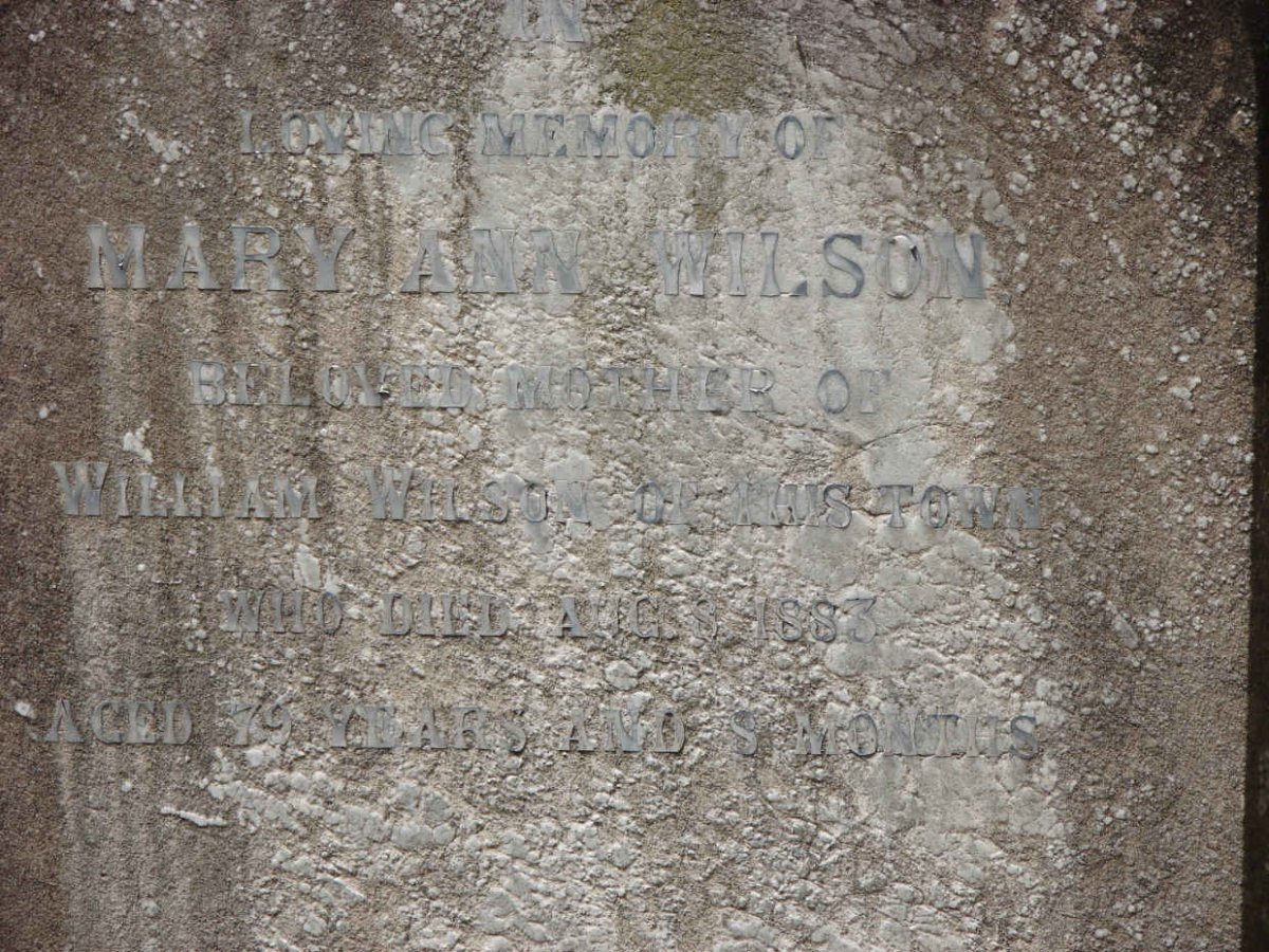 WILSON Mary Ann -1883