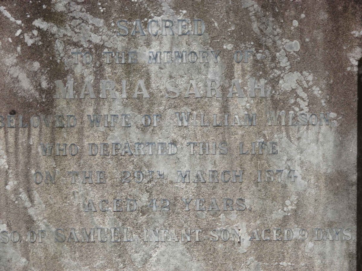 WILSON Maria Sarah -1874 :: WILSON Samuel
