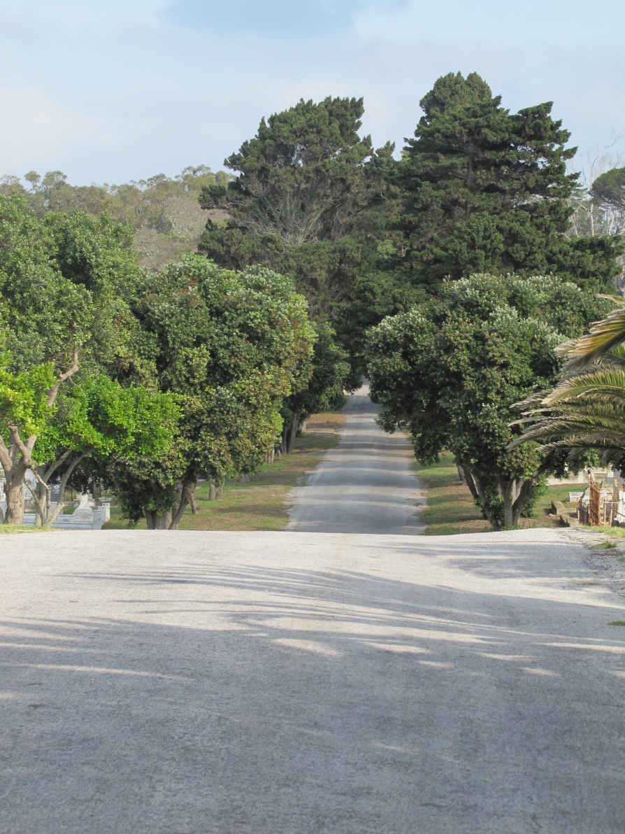 01. Entrance into South End Cemetery