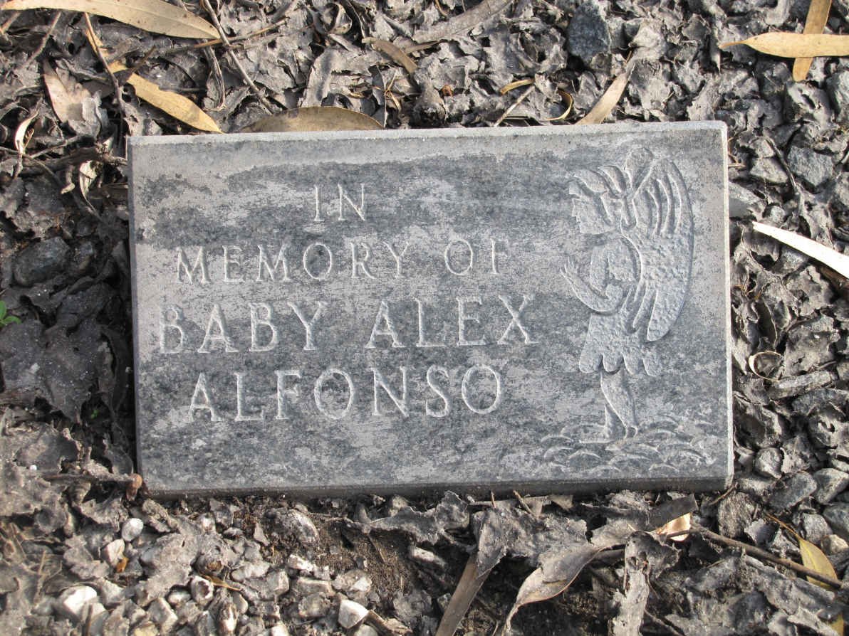 ALFONSO Alex