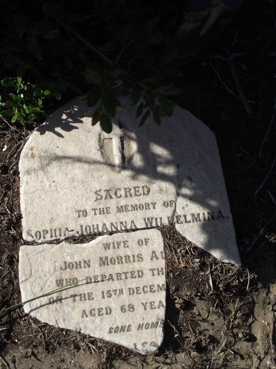 A? Sophia Johanna Wilhelmina