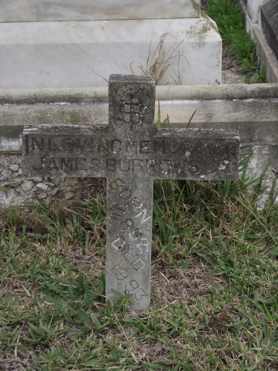 BURROWS James 1882-1993