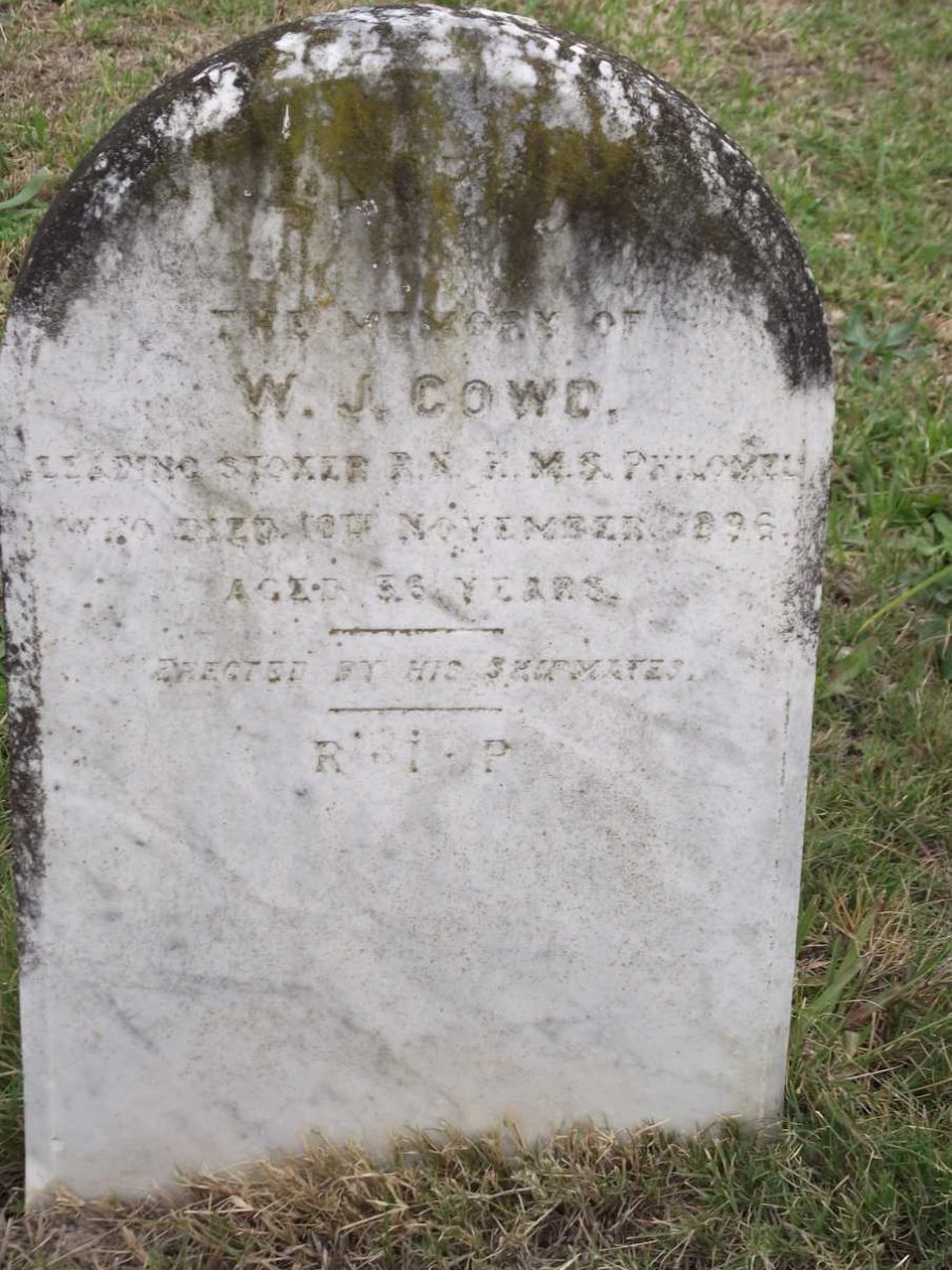 COWD W J -1896