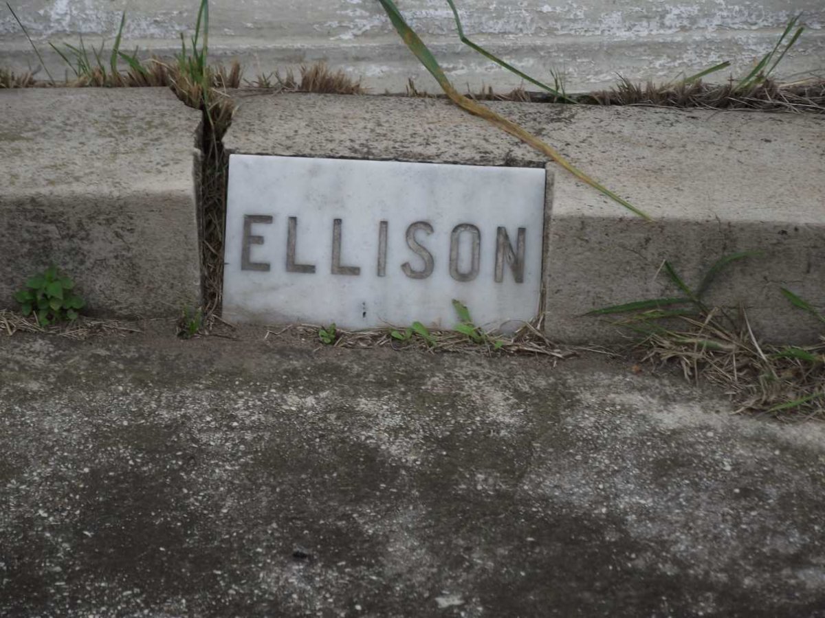 ELLISON
