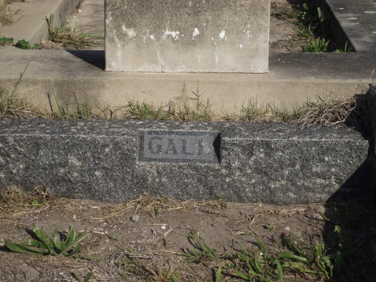 GALL ?