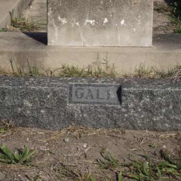 GALL ?