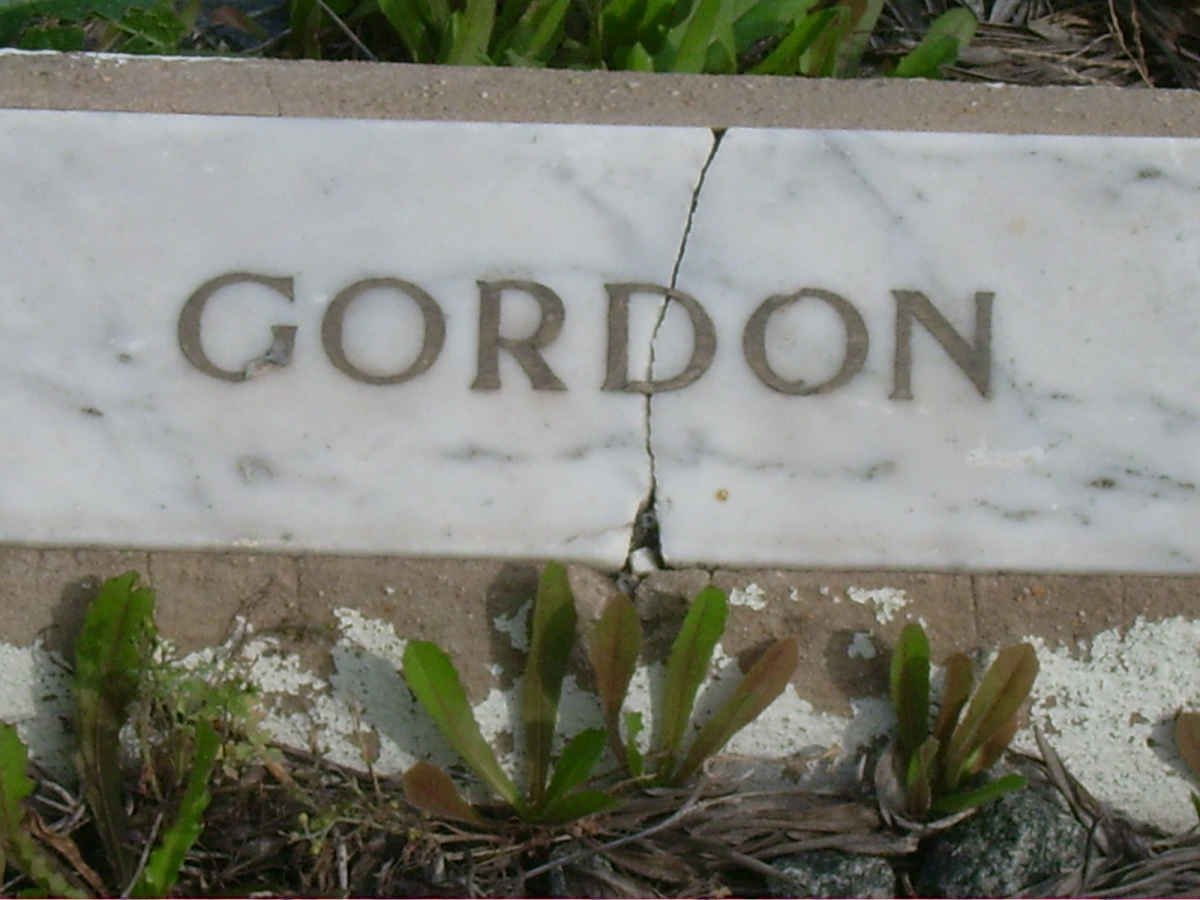 GORDON