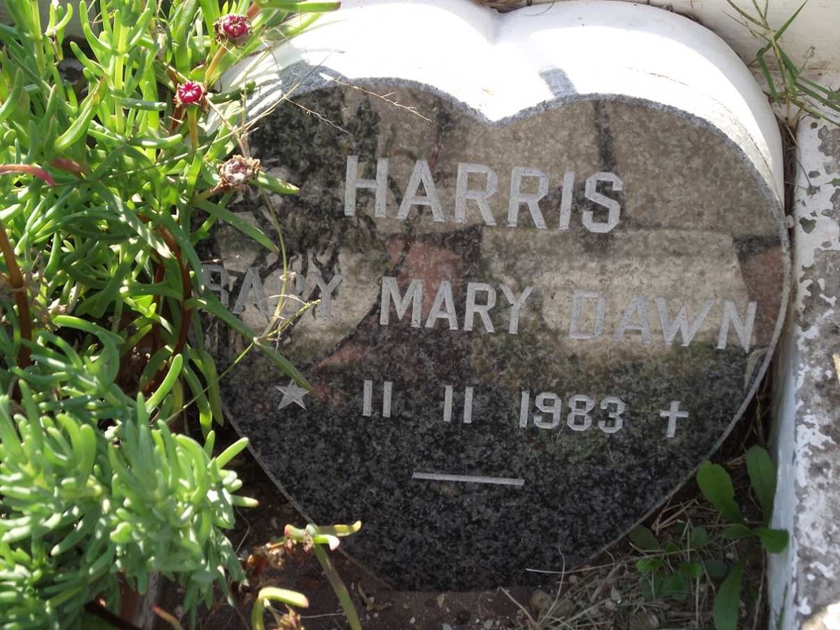 HARRIS Mary Dawn 1983-1983