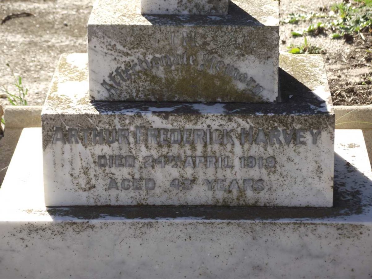 HARVEY Arthur Frederick -1919