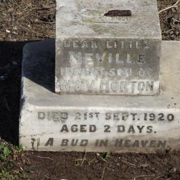 HORTON Neville -1920