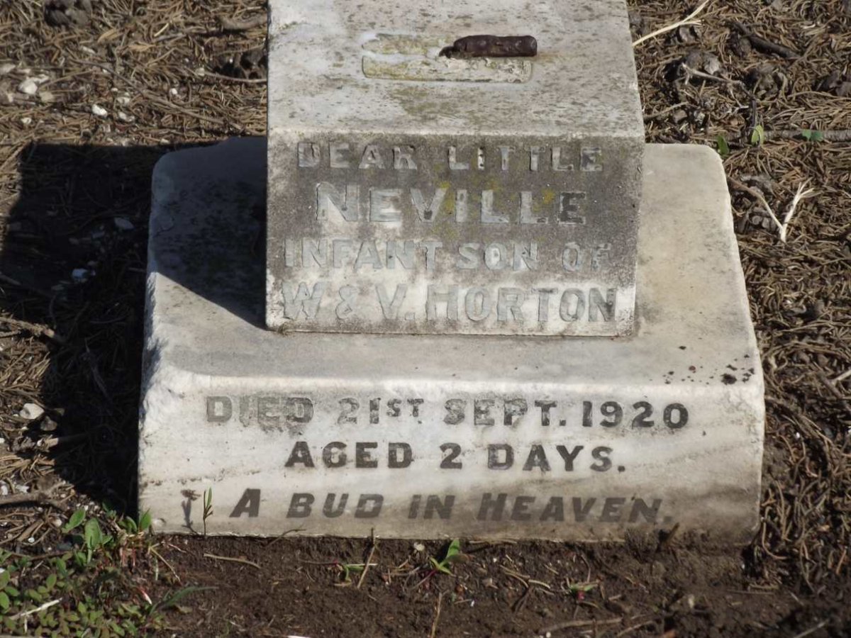 HORTON Neville -1920