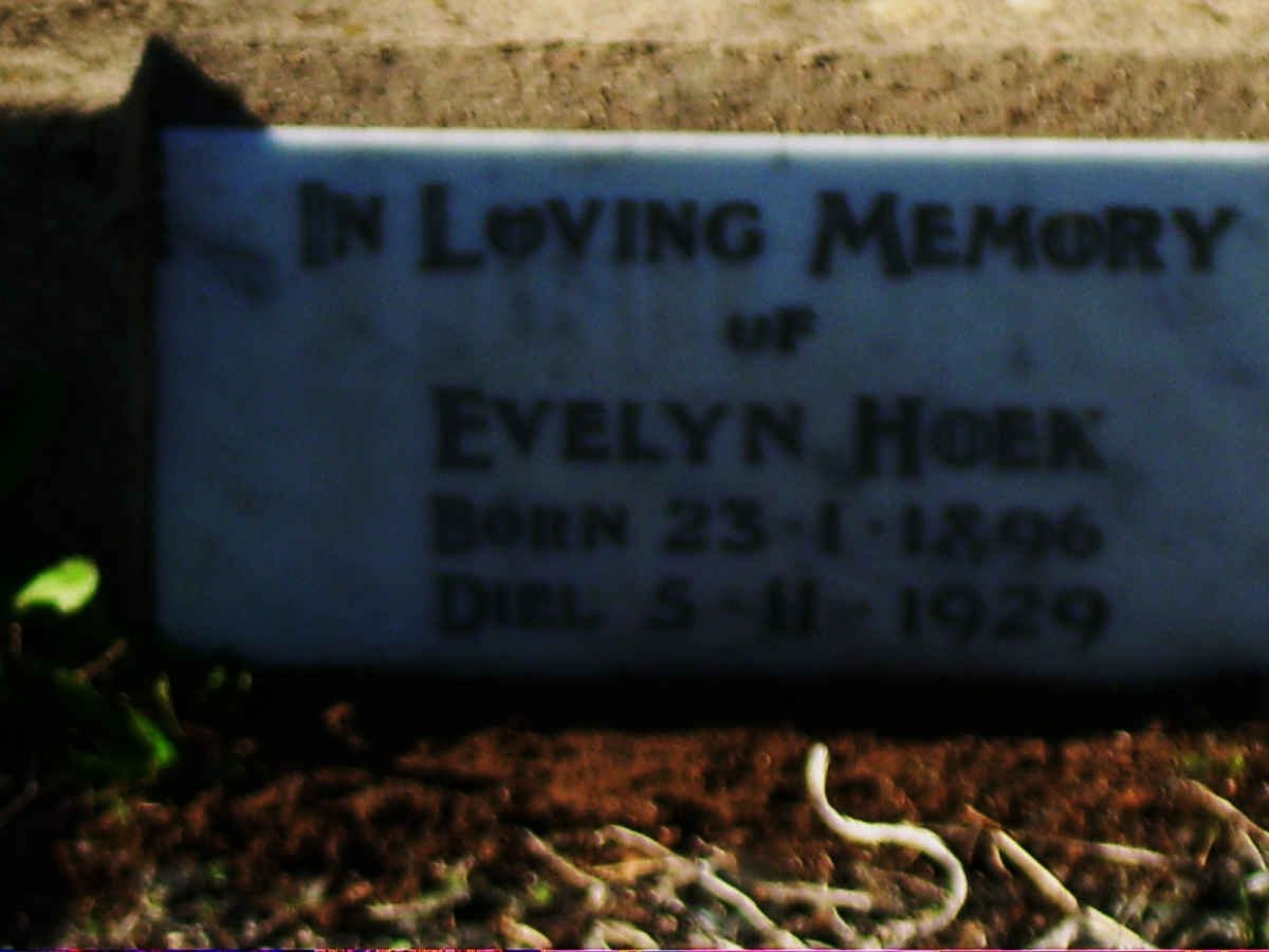 HOEK Evelyn 1896-1929