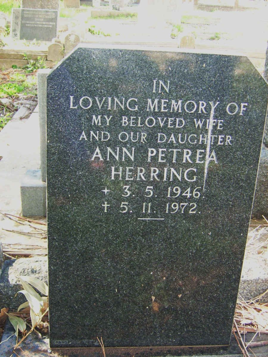HERRING Ann Petrea 1946-1972