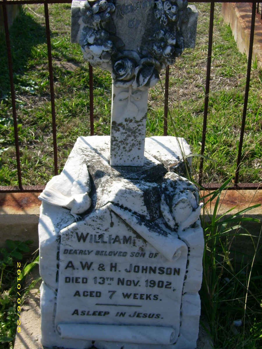 JOHNSON William -1902
