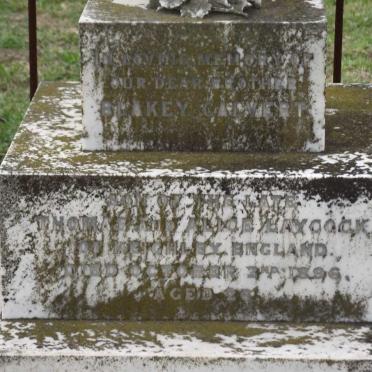 LAYCOCK Blakey Calvert -1896