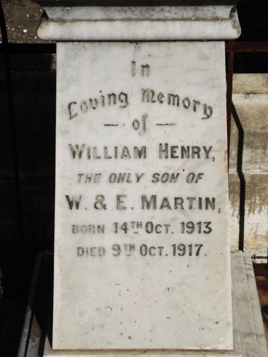 MARTIN William Henry 1913-1917