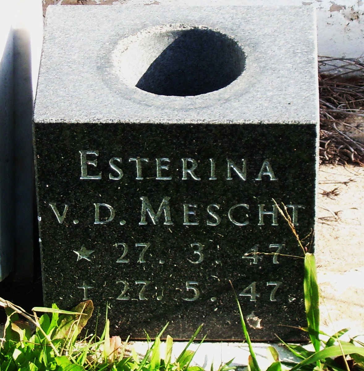 MESCHT Esterina, van der 1947-1947