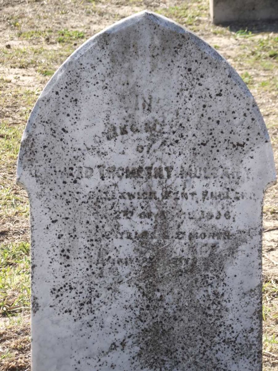 MULCAHY Edward Thomethy -1896
