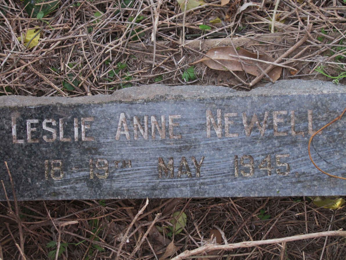 NEWELL Leslie Anne 1945-1945