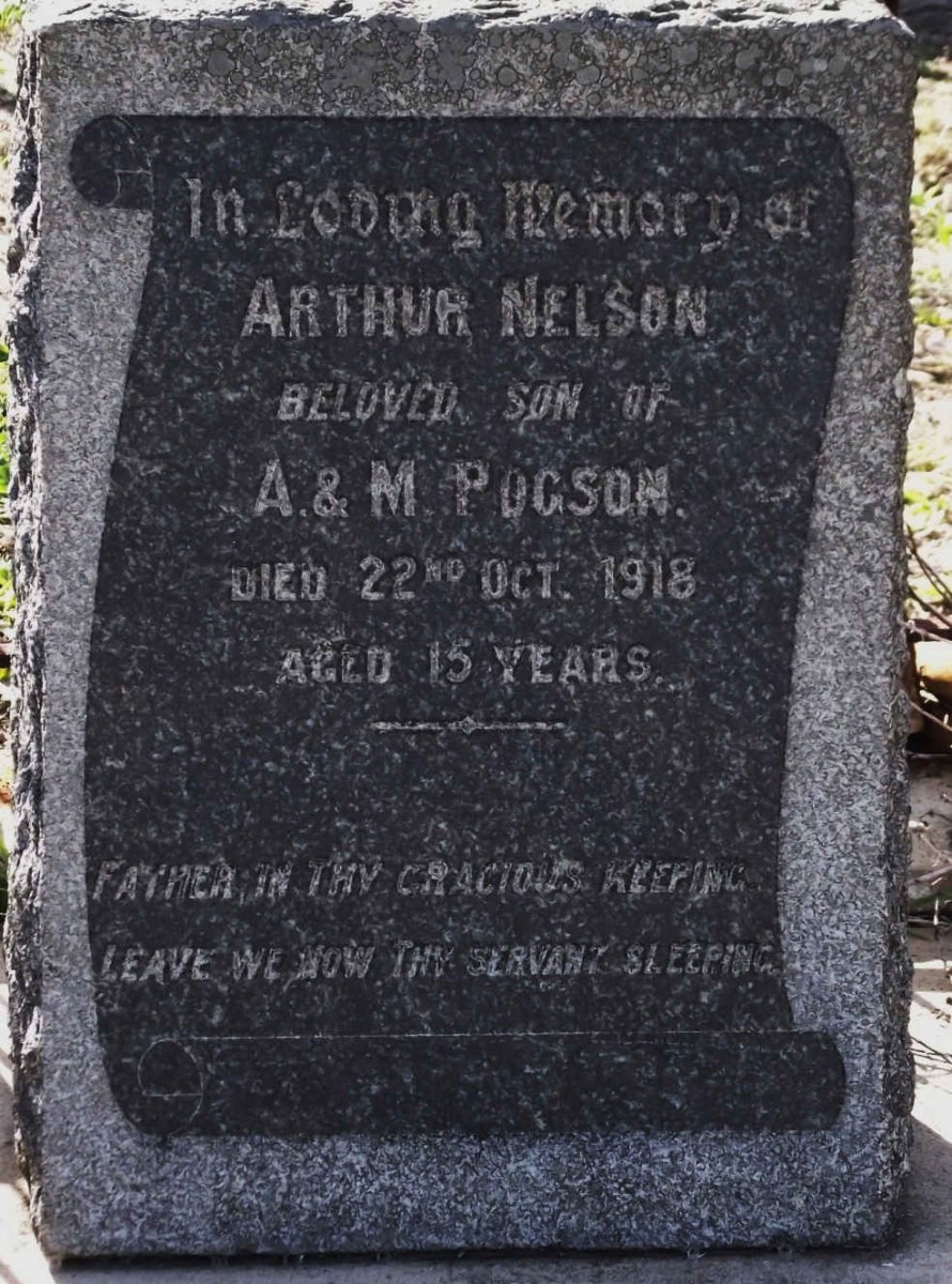 POGSON Arthur Nelson -1918