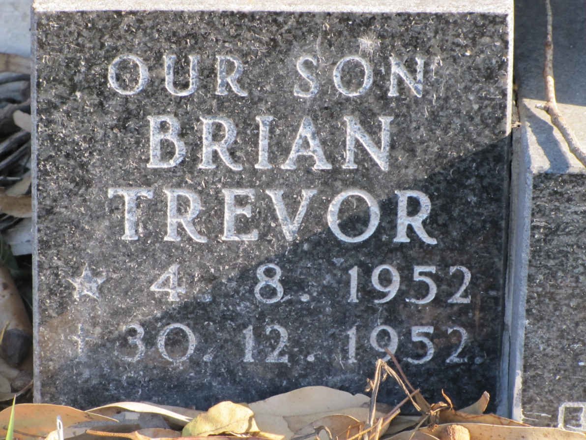 PAULS Brian Trevor 1952-1952
