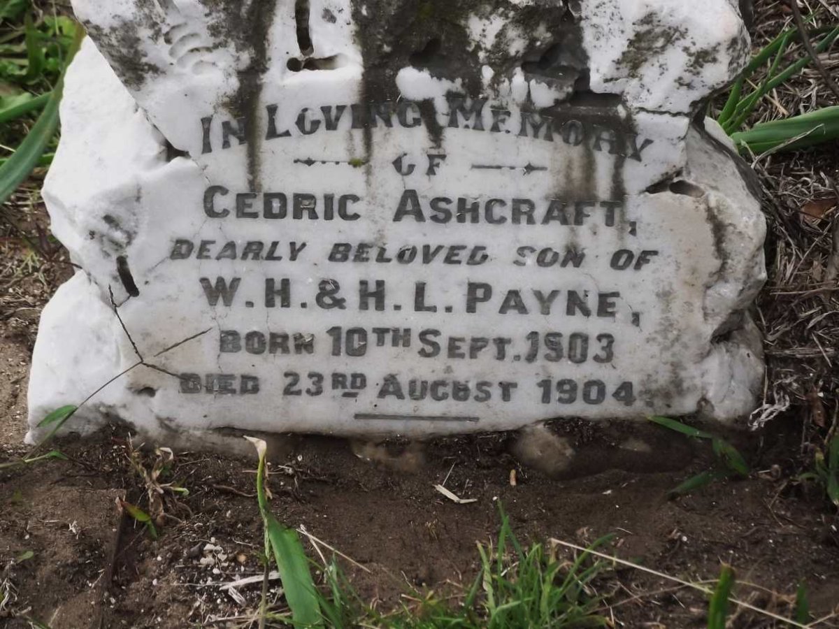 PAYNE Cedric Ashcraft 1903-1904