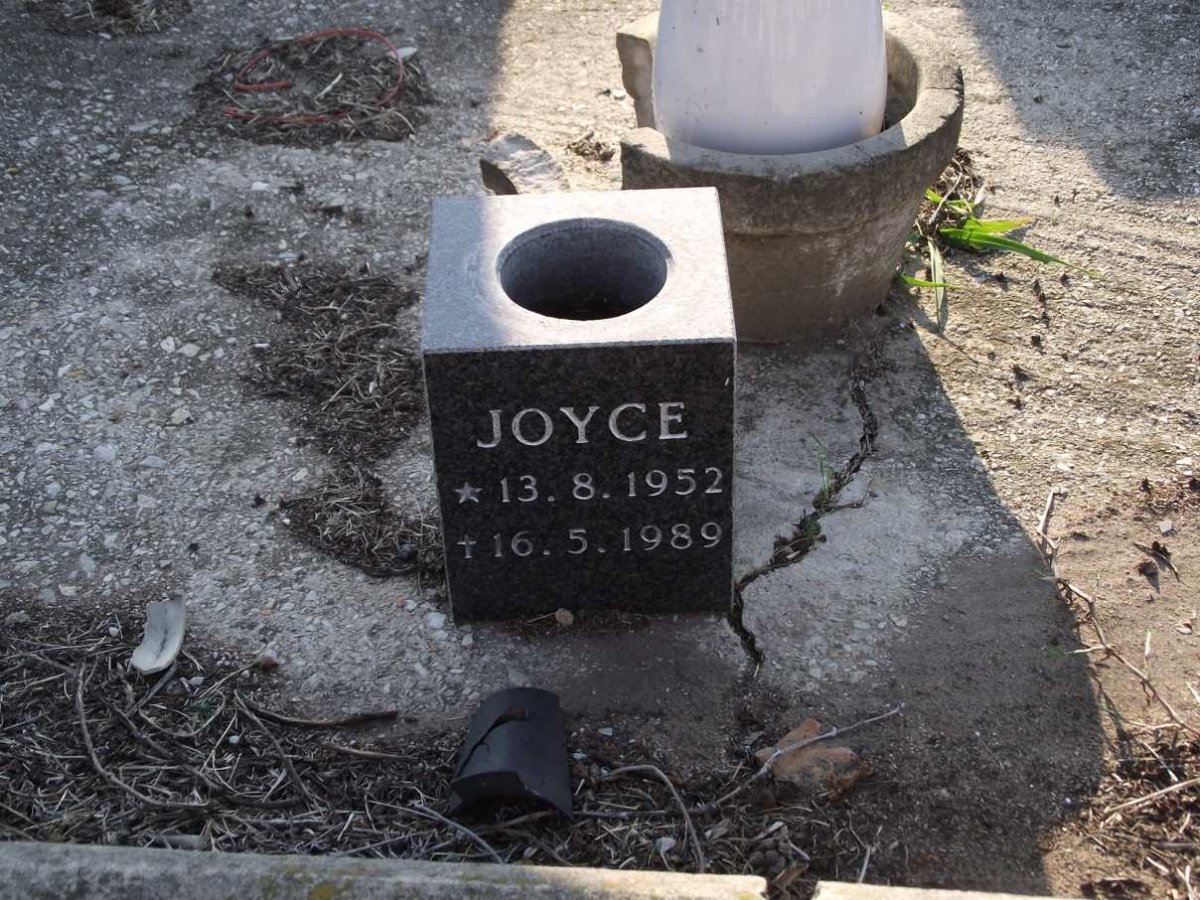 RICE Joyce 1952-1989