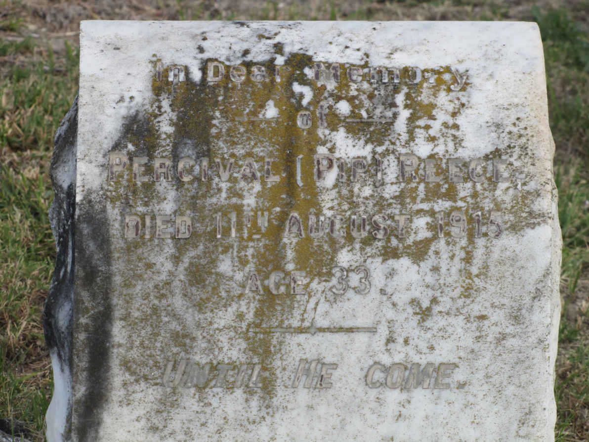 REECE Percival -1915